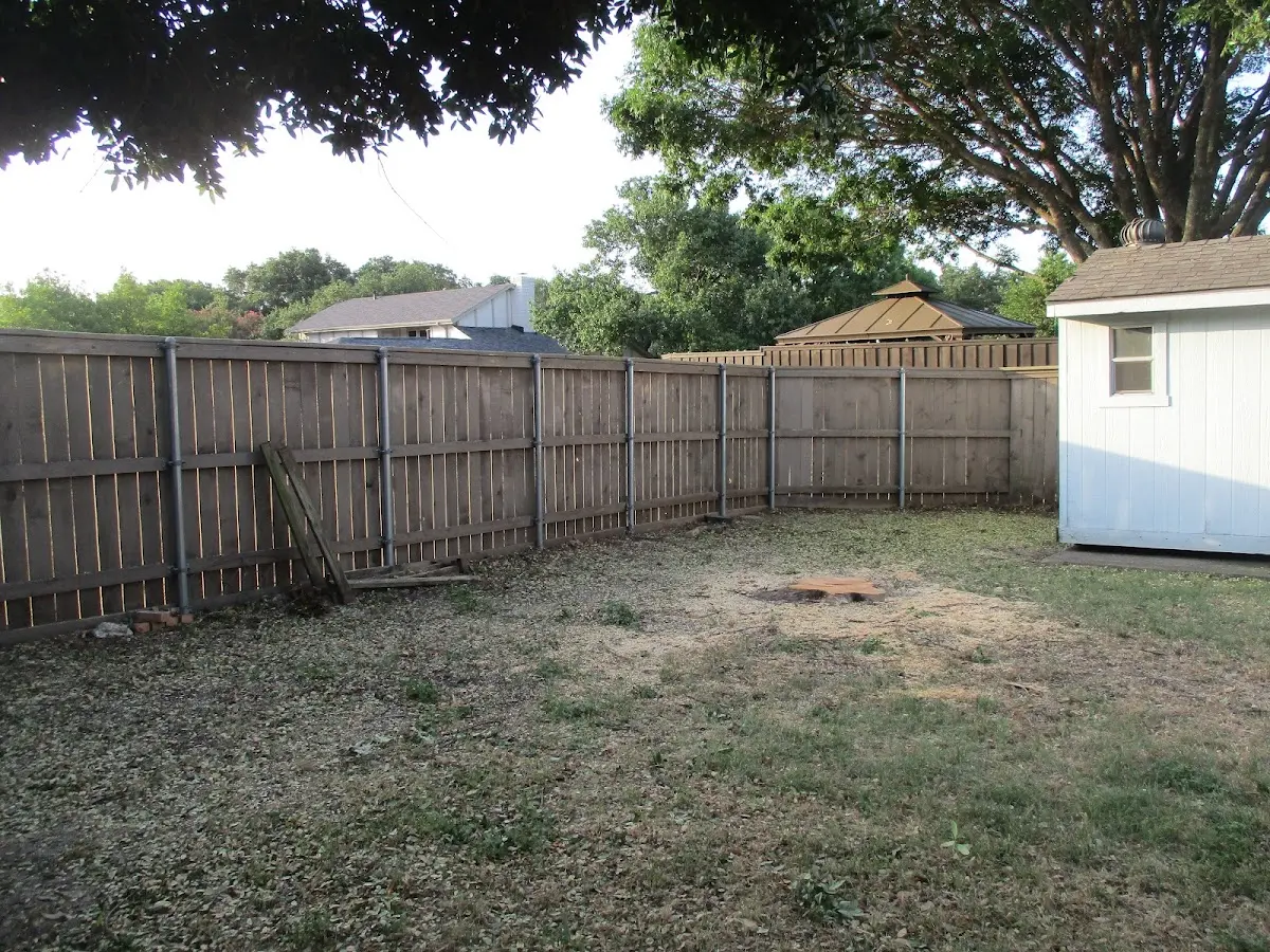 Cleared yard after professional tree removal in Lefors