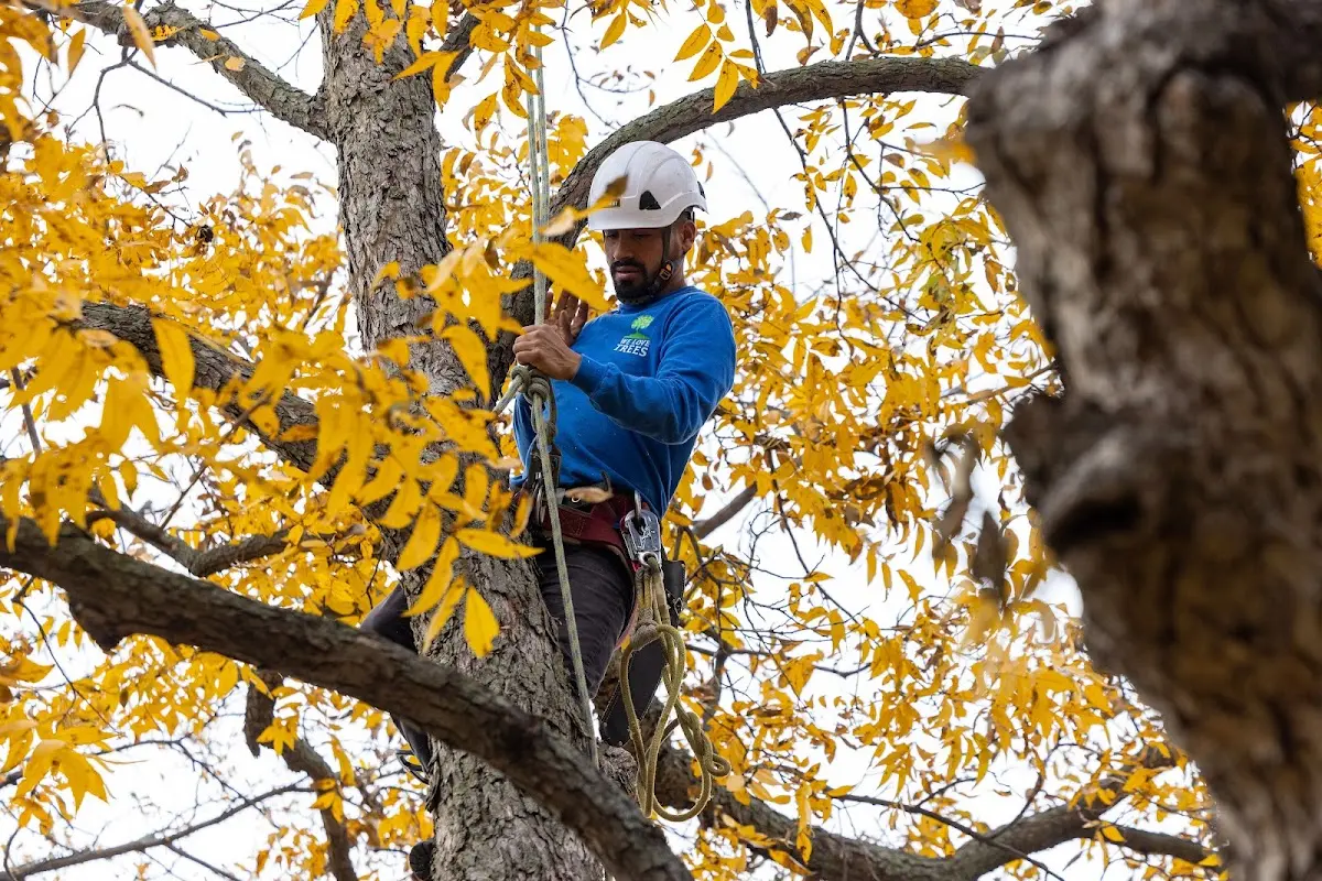 Skilled Storm Damage Cleanup crew working in Lefors