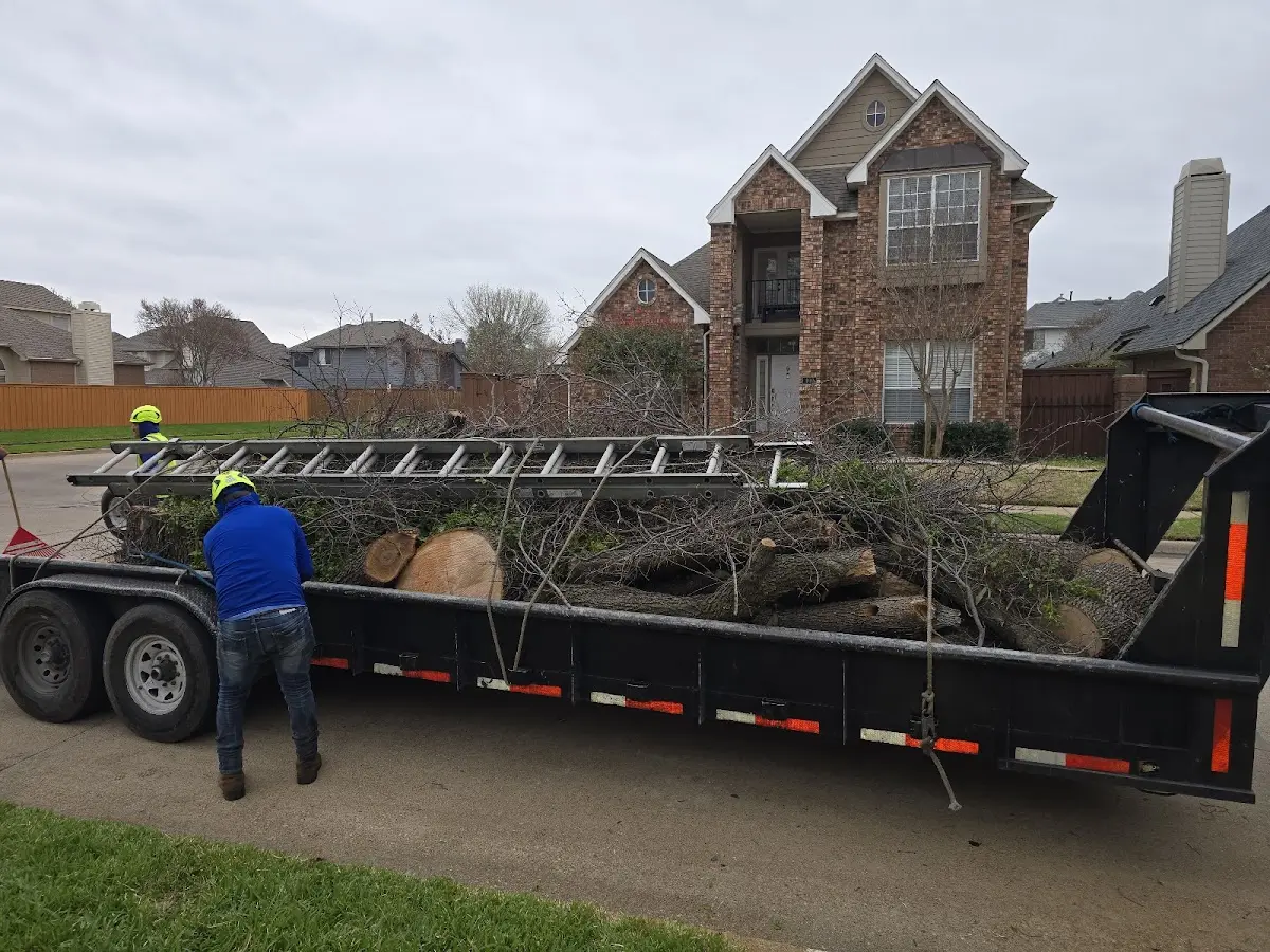 Expert Lot Clearing with proper safety equipment in Lefors